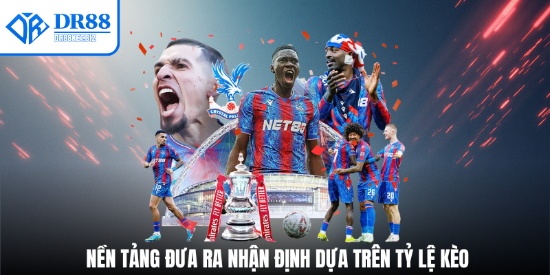 Nền tảng đưa ra nhận định dựa trên tỷ lệ kèo